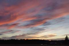 Le ciel rosé juste après le coucher du soleil au dessus du jardin