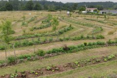 Une vue de haut de la dernière tonte et des haies maraîchères